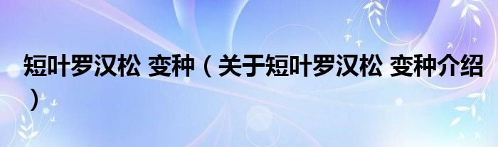  短叶罗汉松 变种（关于短叶罗汉松 变种介绍）