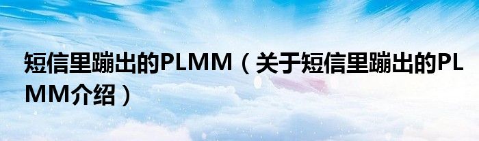  短信里蹦出的PLMM（关于短信里蹦出的PLMM介绍）