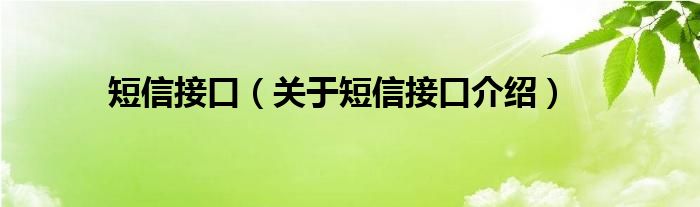  短信接口（关于短信接口介绍）