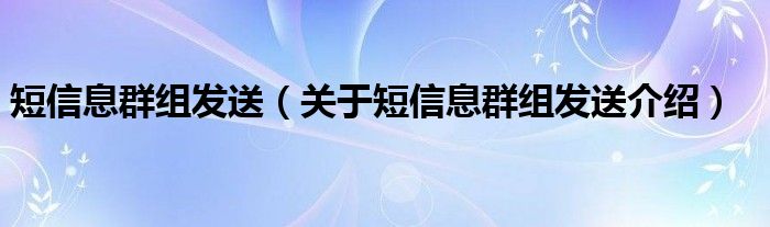  短信息群组发送（关于短信息群组发送介绍）