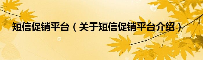  短信促销平台（关于短信促销平台介绍）