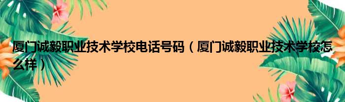 厦门诚毅职业技术学校电话号码（厦门诚毅职业技术学校怎么样）