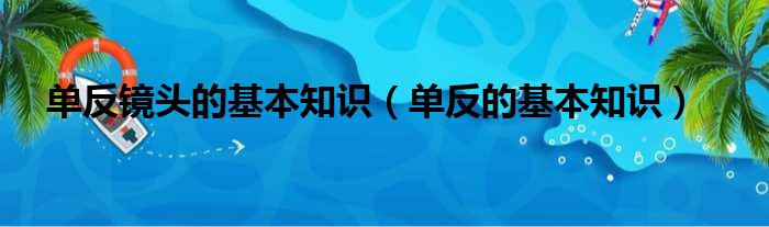 单反镜头的基本知识（单反的基本知识）