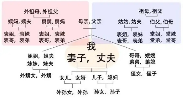 中国主要亲戚关系简表（近姻亲关系包括哪些）(图2)