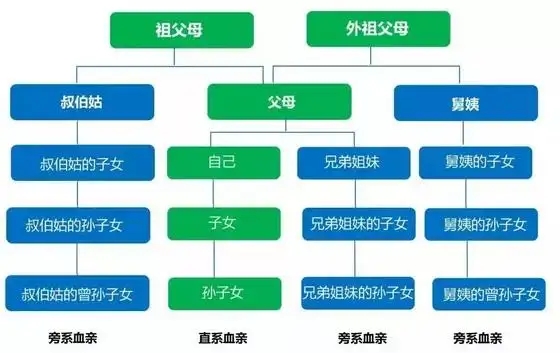 中国主要亲戚关系简表（近姻亲关系包括哪些）(图3)