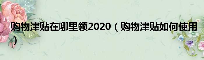 购物津贴在哪里领2020（购物津贴如何使用）