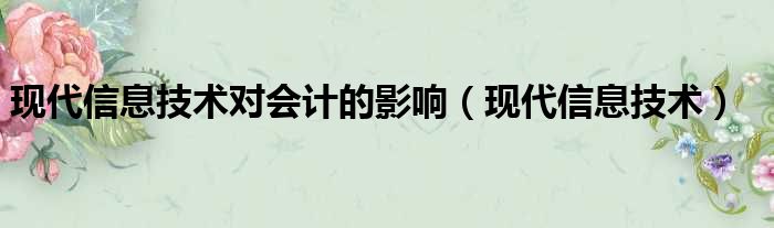 现代信息技术对会计的影响（现代信息技术）