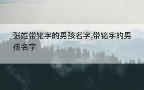 张姓带铭字的男孩名字 带铭字的男孩名字