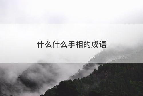 什么什么手相的成语