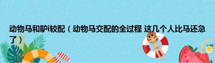 动物马和馿i较配（动物马交配的全过程 这几个人比马还急了）