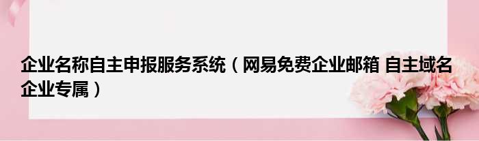 企业名称自主申报服务系统（网易免费企业邮箱 自主域名 企业专属）