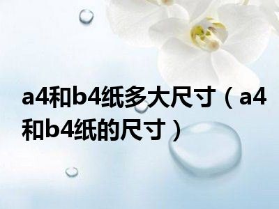 a4和b4纸多大尺寸（a4和b4纸的尺寸）