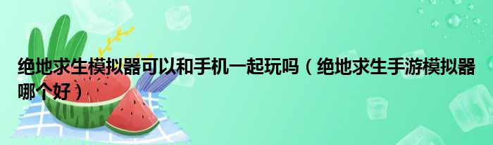 绝地求生模拟器可以和手机一起玩吗（绝地求生手游模拟器哪个好）