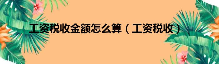 工资税收金额怎么算（工资税收）