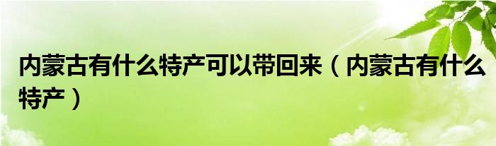 内蒙古有什么特产可以带回来（内蒙古有什么特产）