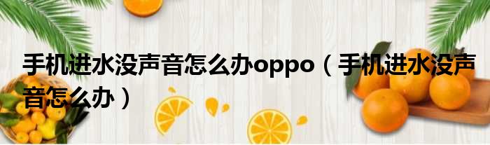 手机进水没声音怎么办oppo（手机进水没声音怎么办）