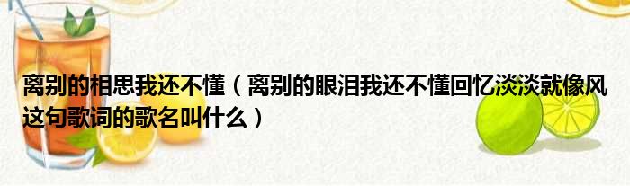 离别的相思我还不懂（离别的眼泪我还不懂回忆淡淡就像风这句歌词的歌名叫什么）