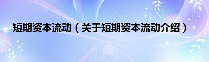  短期资本流动（关于短期资本流动介绍）