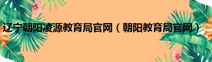 辽宁朝阳凌源教育局官网（朝阳教育局官网）