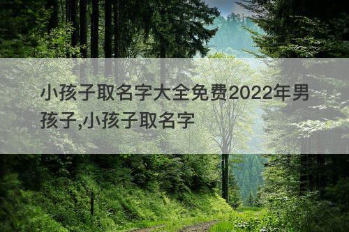 小孩子取名字大全免费2022年男孩子 小孩子取名字