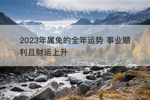 2023年属兔的全年运势 事业顺利且财运上升