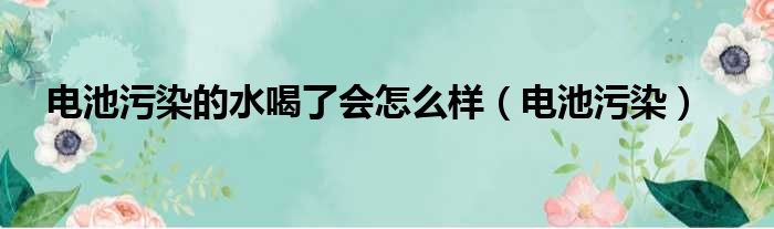 电池污染的水喝了会怎么样（电池污染）