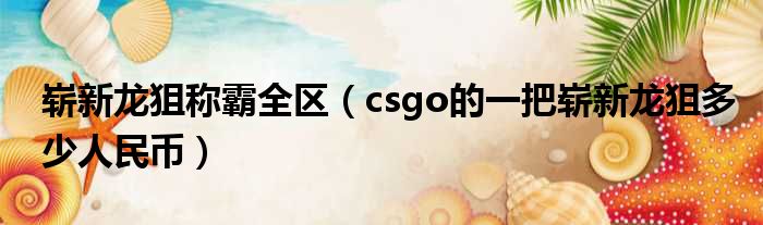 崭新龙狙称霸全区（csgo的一把崭新龙狙多少人民币）