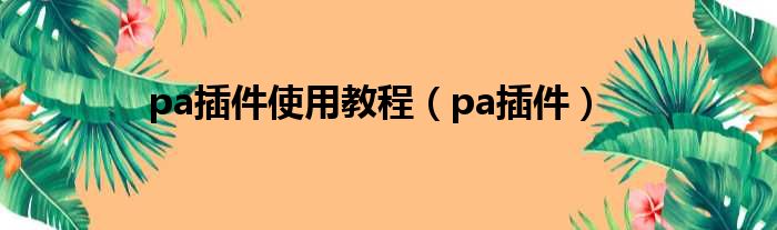 pa插件使用教程（pa插件）