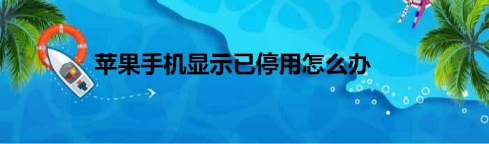 苹果手机显示已停用怎么办