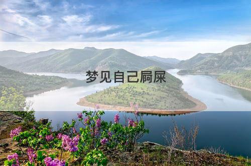 梦见自己屙屎