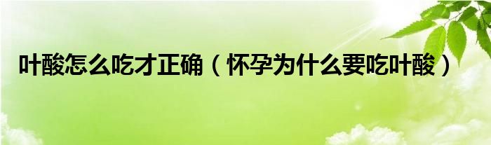 叶酸怎么吃才正确（怀孕为什么要吃叶酸）