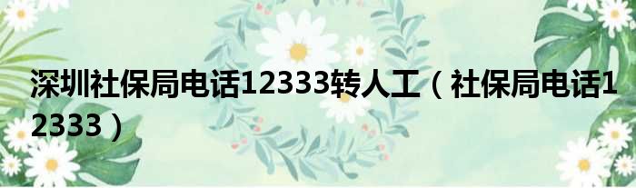 深圳社保局电话12333转人工（社保局电话12333）