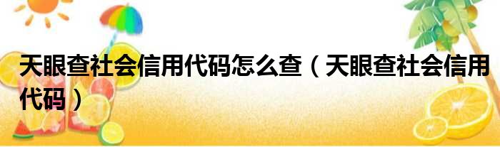 天眼查社会信用代码怎么查（天眼查社会信用代码）