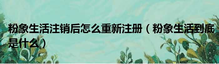 粉象生活注销后怎么重新注册（粉象生活到底是什么）