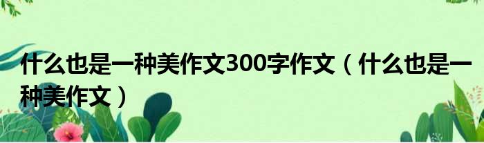 什么也是一种美作文300字作文（什么也是一种美作文）