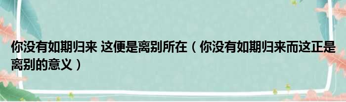 你没有如期归来 这便是离别所在（你没有如期归来而这正是离别的意义）