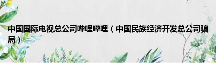 中国国际电视总公司哔哩哔哩（中国民族经济开发总公司骗局）