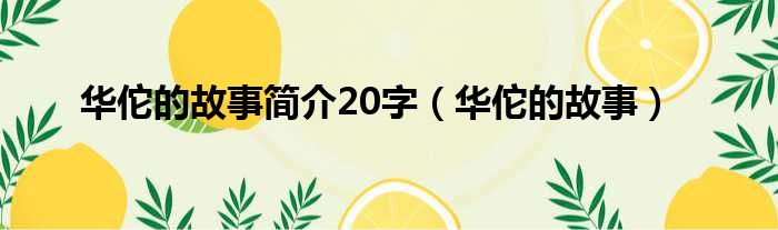 华佗的故事简介20字（华佗的故事）