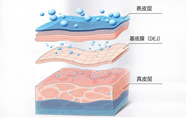 精华液正确使用方法你知道多少（精华液一天用几次最好）(图3)