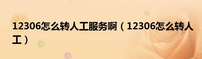 12306怎么转人工服务啊（12306怎么转人工）