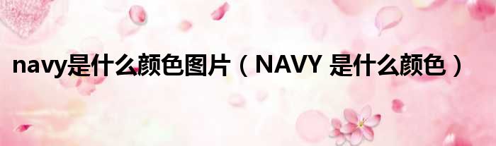 navy是什么颜色图片（NAVY 是什么颜色）