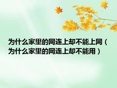 为什么家里的网连上却不能上网（为什么家里的网连上却不能用）