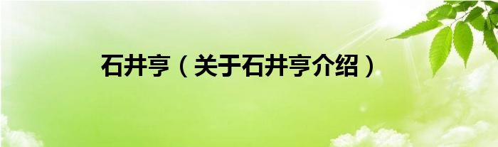  石井亨（关于石井亨介绍）