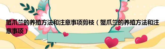 蟹爪兰的养殖方法和注意事项剪枝（蟹爪兰的养殖方法和注意事项）