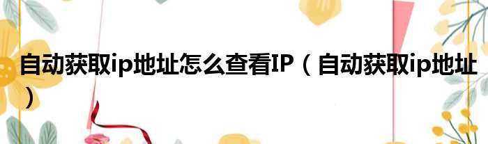 自动获取ip地址怎么查看IP（自动获取ip地址）