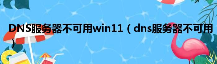 DNS服务器不可用win11（dns服务器不可用）