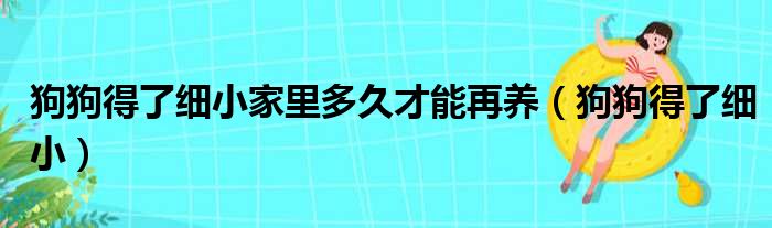 狗狗得了细小家里多久才能再养（狗狗得了细小）