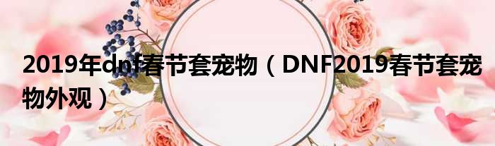 2019年dnf春节套宠物（DNF2019春节套宠物外观）