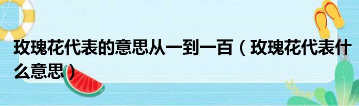 玫瑰花代表的意思从一到一百（玫瑰花代表什么意思）