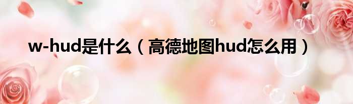 w-hud是什么（高德地图hud怎么用）